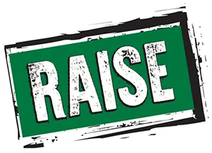 RAISE logo