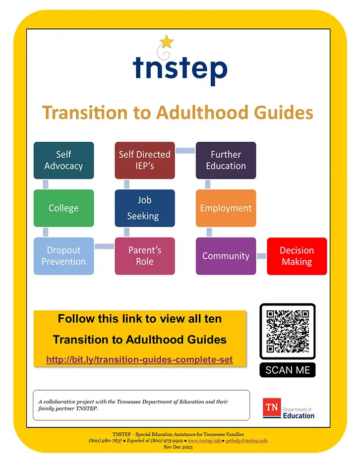 Transition to Adulthood Guides Complete Set